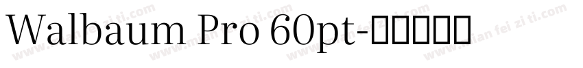 Walbaum Pro 60pt字体转换